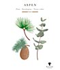Baobab Collection Aspen Scented Candle - Image 2
