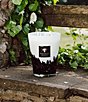 Baobab Collection Feathers Scented Candle - Image 4