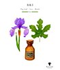 Baobab Collection Ski Scented Candle - Image 2