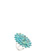 Barse Silver And Genuine Turquoise Oasis Royale Statement Ring - Image 1