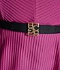 BCBG Sleeveless Belted Short Sheath Knit Dress - Image 5