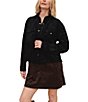 Bella Dahl Seamed Pocket Faux Suede Shacket - Image 6
