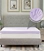 Color:Purple - Image 4 - 3-Inch Lavender Infused Memory Foam Mattress Bed Topper