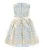 Color:Blue - Image 2 - Little Girls 2T-4T Sleeveless Embroidered Mesh/Lace Fit & Flare Dress