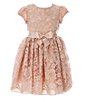 Color:Taupe - Image 1 - Little Girls 2T-6X Short Sleeve Floral Lace Ballerina Dress