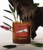 Boy Smells Sauna Wood Candle, 8.5 oz. - Image 3