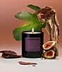 Boy Smells Woodphoria Candle, 8.5 oz. - Image 5