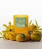 Boy Smells Yuzu Zesty Candle, 8.5 oz. - Image 3