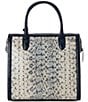 BRAHMIN Anchor Cirrus Melbourne Collection Contrast Trim Caroline Satchel, Color:Anchor - Image 2