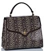 Color:Espresso - Image 4 - Caswell Collection Rene Animal Print Leather Satchel Bag