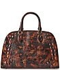BRAHMIN Melbourne Collection Angelina Tortoise Shell Satchel Bag - Image 2