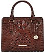 BRAHMIN Melbourne Collection Cami Satchel Bag, Color:Pecan - Image 1