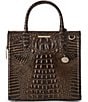 BRAHMIN Melbourne Collection Caroline Satchel Bag, Color:Chocolate - Image 1