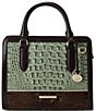 BRAHMIN Northway Collection Cami Softgrass Satchel Bag - Image 1