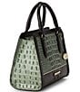 BRAHMIN Northway Collection Cami Softgrass Satchel Bag - Image 4