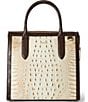 BRAHMIN Rambla Collection Multi Small Caroline Satchel Bag - Image 2