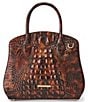 BRAHMIN Rosetta Melbourne Collection Tortoise Satchel Bag - Image 1