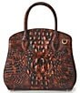 BRAHMIN Rosetta Melbourne Collection Tortoise Satchel Bag - Image 2