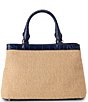 BRAHMIN Windswept Collection Small Denise Raffia Satchel Bag - Image 2