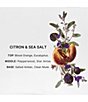 Bravo Sierra Citron Sea Salt Deodorant - Image 3
