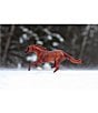 Breyer undefined, 00000000_zi_991e8960-45bb-4cac-a0db-36e2fa0d04ff__05_ai - undefined