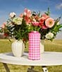 Brumate Pink Gingham Hopsulator Slim 12oz Can Holder - Image 4