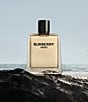 Burberry undefined, 20204983__09_ai - undefined