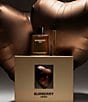 Burberry undefined, 00000000__20558020_02_ai - undefined