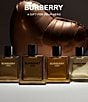 Burberry undefined, 00000000__20577183_05_ai - undefined