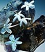 Bvlgari Le Gemme Amunae Eau de Parfum - Image 3