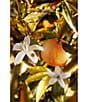 Bvlgari Le Gemme Tygar Eau de Parfum Refillable Travel Spray - Image 4