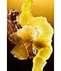 Bvlgari Le Gemme Tygar Eau de Parfum Refillable Travel Spray - Image 5