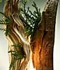 Bvlgari Man Wood Essence Eau de Parfum - Image 4