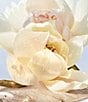 Bvlgari Omnia Crystalline Eau de Toilette - Image 3