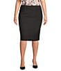 Color:Charcoal - Image 1 - Plus Size High Rise Luxe Stretch Pencil Skirt