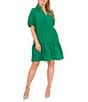 Color:Lush Green - Image 1 - Plus Size Split V-Neck Tiered Short Sleeve Dress