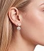 Cezanne Crystal CZ Double Round Stone Drop Earrings - Image 2