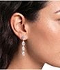 Cezanne Crystal CZ Teardrop Stone Linear Earrings - Image 2