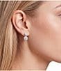Cezanne Crystal Double Round Stone Drop Earrings - Image 2