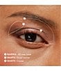 Chantecaille Limited Edition Lion Collection Luminescent Eye Shadow - Image 5