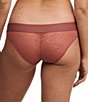Color:Amber - Image 2 - Allure Striped Print Brief Panty