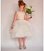 Color:Champagne - Image 6 - Big Girls 7-12 Satin/Tiered Mesh Fit-And-Flare Dress