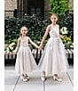 Color:Taupe - Image 4 - Big Girls 7-16 Embroidered Mesh Glitter Gown