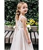 Color:Taupe - Image 3 - Little Girls 2T-6X Embroidered Mesh Glitter Gown