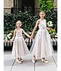 Color:Taupe - Image 4 - Little Girls 2T-6X Embroidered Mesh Glitter Gown