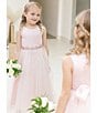 Color:Blush - Image 3 - Little Girls 2T-6X Satin/Mesh Ball Gown