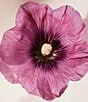 Chloe Atelier des Fleurs Hibiscus Abelmoschus Eau de Parfum - Image 4