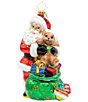 Christopher Radko Bundle Of Cheer Glass Ornament - Image 1