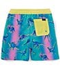 Color:Turquoise - Image 2 - Big Boys 7-20 Family Matching Dino Delights Swim Trunks