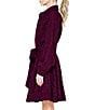 CIEBON Serane Eyelet Embroidered Lace Collared Long Sleeve Belted Mini Shirt Dress - Image 3